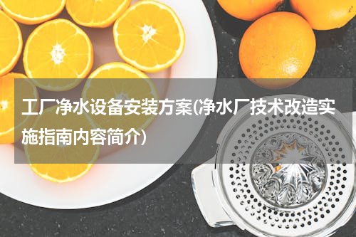 工厂净水设备安装方案(净水厂技术改造实施指南内容简介)