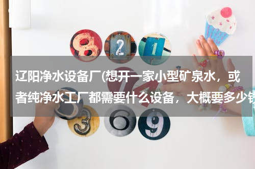 辽阳净水设备厂(想开一家小型矿泉水，或者纯净水工厂都需要什么设备，大概要多少钱。)