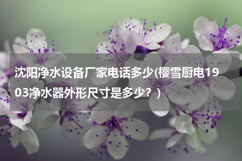 沈阳净水设备厂家电话多少(樱雪厨电1903净水器外形尺寸是多少？)