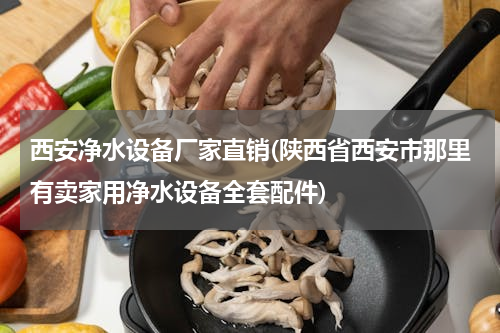西安净水设备厂家直销(陕西省西安市那里有卖家用净水设备全套配件)