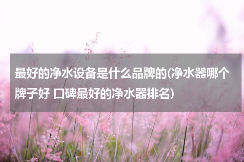 最好的净水设备是什么品牌的(净水器哪个牌子好 口碑最好的净水器排名)