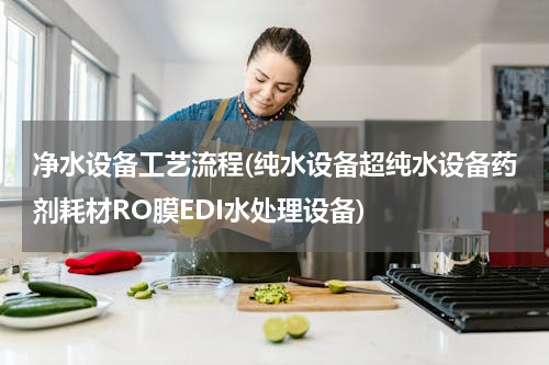 净水设备工艺流程(纯水设备超纯水设备药剂耗材RO膜EDI水处理设备)