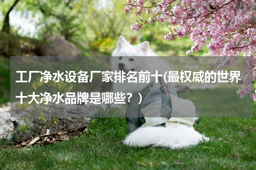 工厂净水设备厂家排名前十(最权威的世界十大净水品牌是哪些？)
