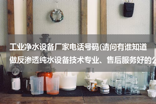 工业净水设备厂家电话号码(请问有谁知道做反渗透纯水设备技术专业、售后服务好的公司，知道的给个帮助？)