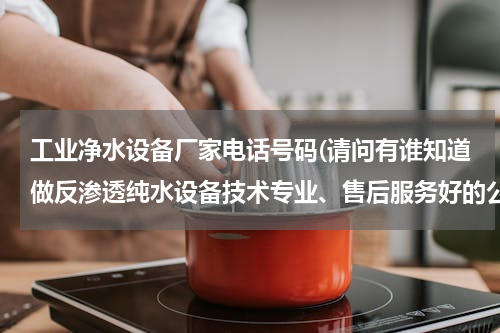 工业净水设备厂家电话号码(请问有谁知道做反渗透纯水设备技术专业、售后服务好的公司，知道的给个帮助？)