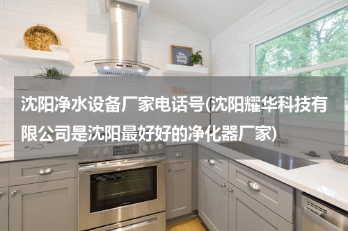 沈阳净水设备厂家电话号(沈阳耀华科技有限公司是沈阳最好好的净化器厂家)