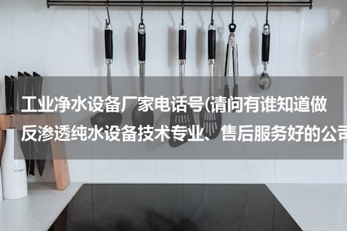 工业净水设备厂家电话号(请问有谁知道做反渗透纯水设备技术专业、售后服务好的公司，知道的给个帮助？)