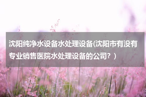 沈阳纯净水设备水处理设备(沈阳市有没有专业销售医院水处理设备的公司？)