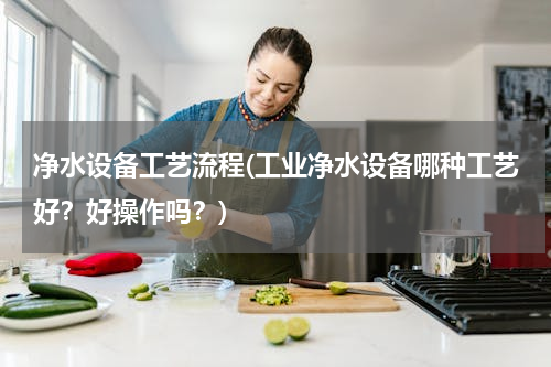 净水设备工艺流程(工业净水设备哪种工艺好？好操作吗？)