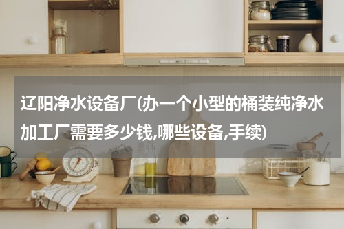 辽阳净水设备厂(办一个小型的桶装纯净水加工厂需要多少钱,哪些设备,手续)