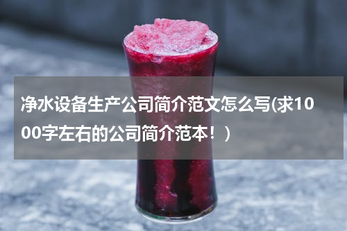 净水设备生产公司简介范文怎么写(求1000字左右的公司简介范本！)
