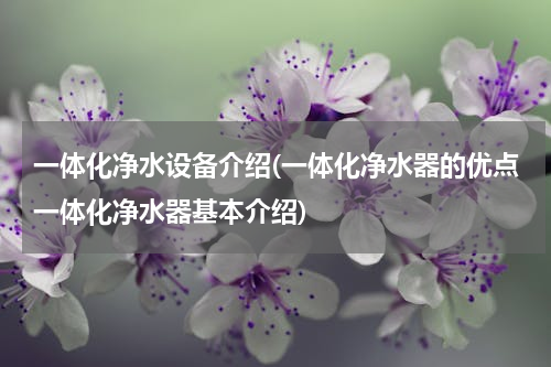 一体化净水设备介绍(一体化净水器的优点一体化净水器基本介绍)