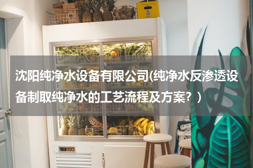 沈阳纯净水设备有限公司(纯净水反渗透设备制取纯净水的工艺流程及方案？)