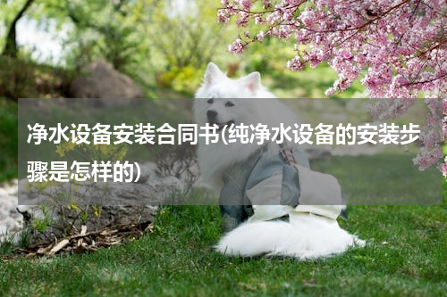 净水设备安装合同书(纯净水设备的安装步骤是怎样的)