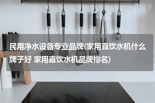 民用净水设备专业品牌(家用直饮水机什么牌子好 家用直饮水机品牌排名)