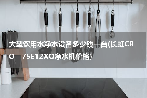 大型饮用水净水设备多少钱一台(长虹CRO－75E12XQ净水机价格)