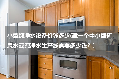 小型纯净水设备价钱多少(建一个中小型矿泉水或纯净水生产线需要多少钱？)