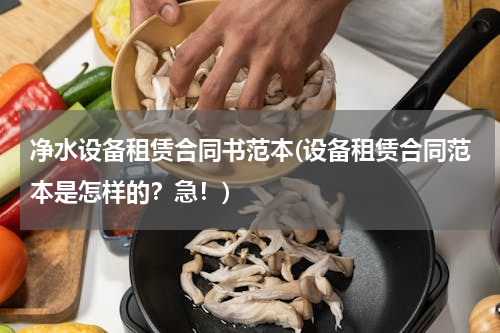 净水设备租赁合同书范本(设备租赁合同范本是怎样的？急！)