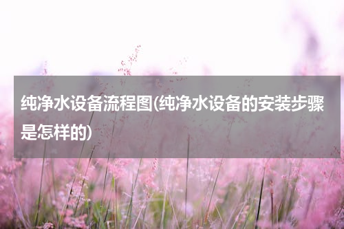 纯净水设备流程图(纯净水设备的安装步骤是怎样的)