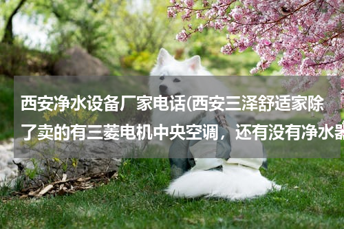 西安净水设备厂家电话(西安三泽舒适家除了卖的有三菱电机中央空调，还有没有净水器和热水器的？)