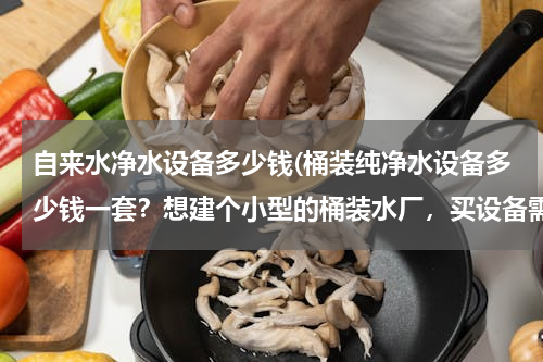 自来水净水设备多少钱(桶装纯净水设备多少钱一套？想建个小型的桶装水厂，买设备需要多少钱？)