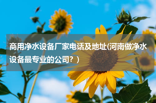 商用净水设备厂家电话及地址(河南做净水设备最专业的公司？)