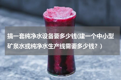 搞一套纯净水设备要多少钱(建一个中小型矿泉水或纯净水生产线需要多少钱？)