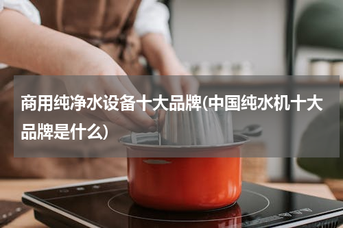 商用纯净水设备十大品牌(中国纯水机十大品牌是什么)