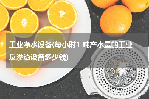 工业净水设备(每小时1 吨产水量的工业反渗透设备多少钱)