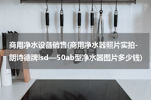 商用净水设备销售(商用净水器照片实拍-朗诗德牌lsd—50ab型净水器图片多少钱)