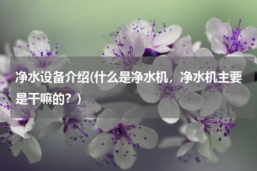 净水设备介绍(什么是净水机，净水机主要是干嘛的？)