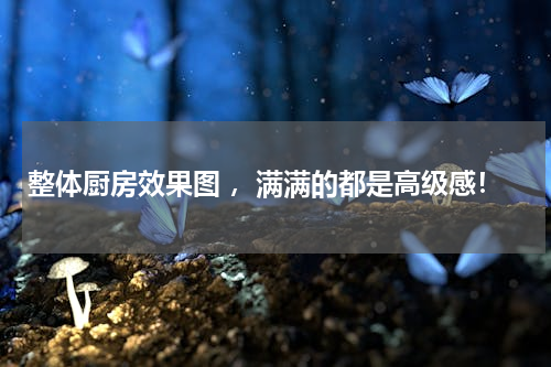 整体厨房效果图 ，满满的都是高级感！