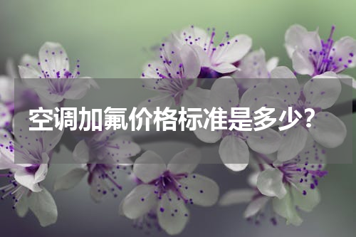 空调加氟价格标准是多少？