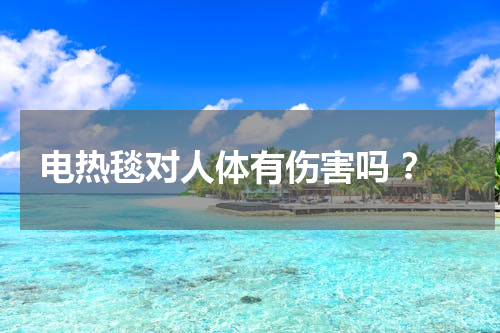电热毯对人体有伤害吗 ？
