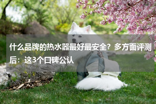 什么品牌的热水器最好最安全？多方面评测后：这3个口碑公认