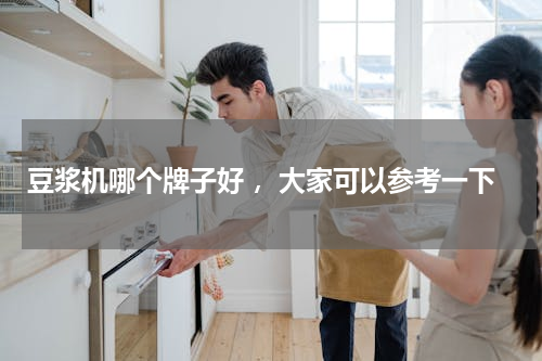 豆浆机哪个牌子好 ，大家可以参考一下
