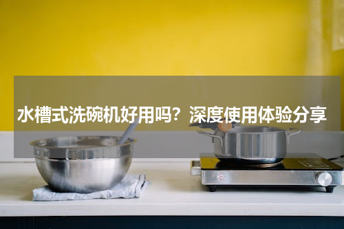 水槽式洗碗机好用吗？深度使用体验分享