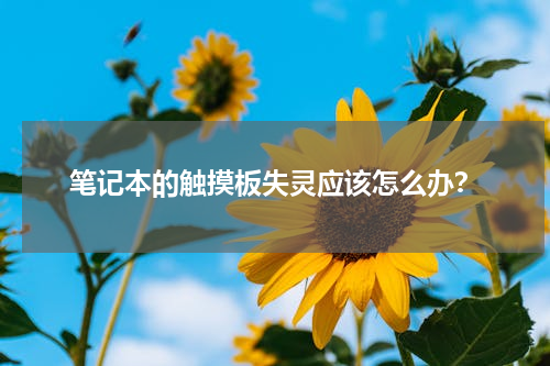 笔记本的触摸板失灵应该怎么办？