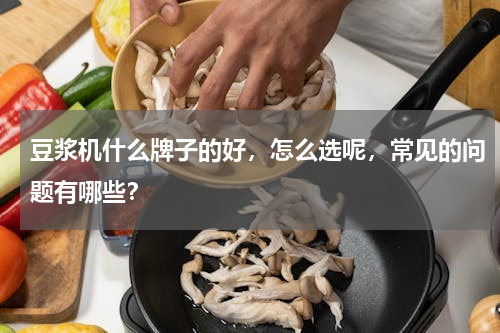 豆浆机什么牌子的好，怎么选呢，常见的问题有哪些？