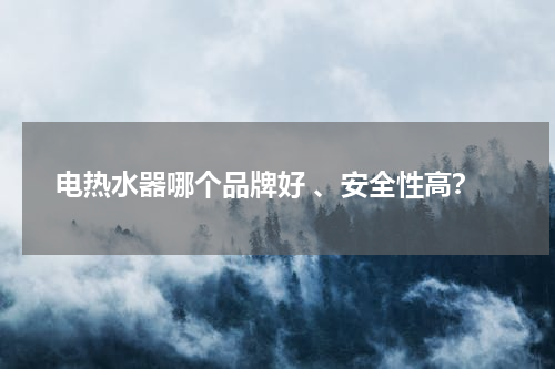 电热水器哪个品牌好 、安全性高？