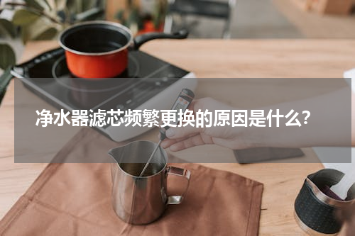 净水器滤芯频繁更换的原因是什么？