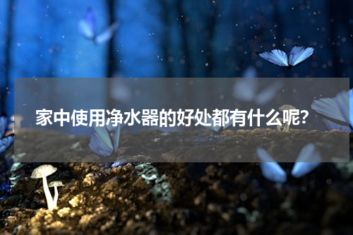 家中使用净水器的好处都有什么呢？