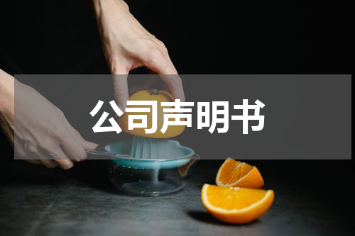 公司声明书