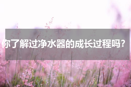 你了解过净水器的成长过程吗？