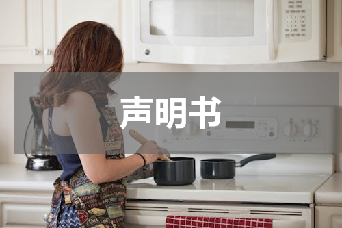 声明书