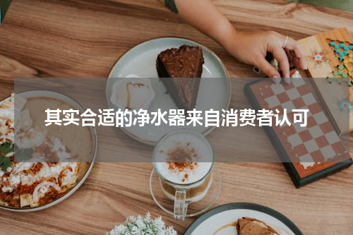 其实合适的净水器来自消费者认可