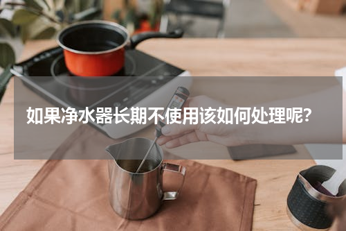 如果净水器长期不使用该如何处理呢？