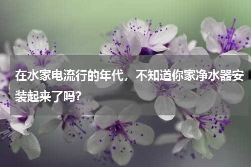 在水家电流行的年代，不知道你家净水器安装起来了吗？