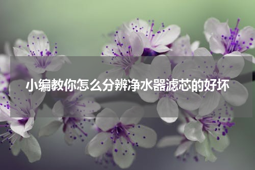 小编教你怎么分辨净水器滤芯的好坏